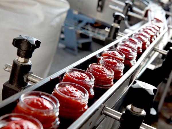 Construction of a full-cycle tomato paste production plant